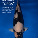 ORCA.jpg